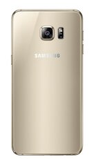 0706_Zero2 gold back.jpg