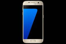 01_S7_Front_gold_Standard_Online_L.jpg