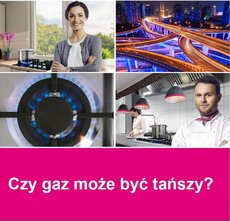 TS_gaz.jpg