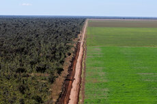 Widok na plantację soi graniczącą z dziewiczym obszarem Cerrado w regionie Ribeiro Goncalves, Piaui, Brazylia. © Adriano Gambarini : WWF-Brazil.jpg