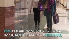 Joanna Kozarzewska_zakaz handlu = zwolnienia?.mov