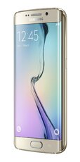 SM-G925F_006_R-Front30_Gold_Platinum_s.jpg