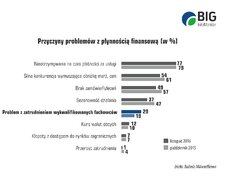 Grafika_przyczyny.jpg