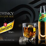 vimixers_whisky_ginger_ale_cocktail.jpg