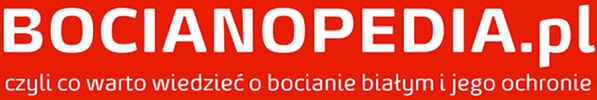 Logo - Bocianopedia.pl czyli co warto wiedzieć o bocianie białym i jego ochronie