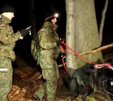 Szkolenie Grupy Poszukiwawczo – Ratowniczej K9 WOT