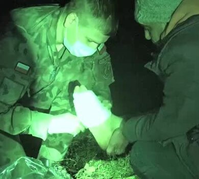 115 udzielanie pomocy medycznej