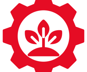 ŚRODOWISKO