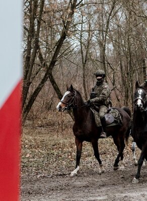 Patrole konne na straży bezpiecznej granicy