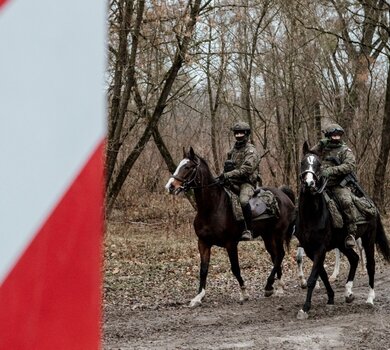 Patrole konne na straży bezpiecznej granicy