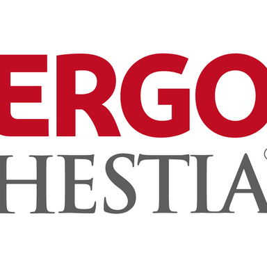 logo ERGO Hestia RGB