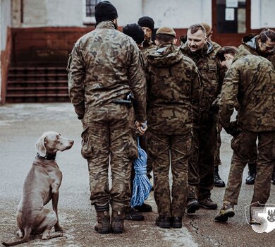 Szkolenie grupy poszukiwawczo-ratowniczej K9