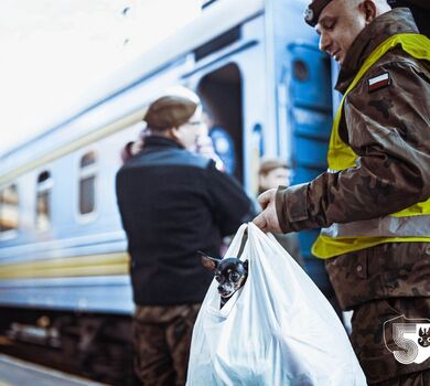 Przemyśl. Podkarpaccy terytorialsi wspierają punkt recepcyjny na dworcu PKP