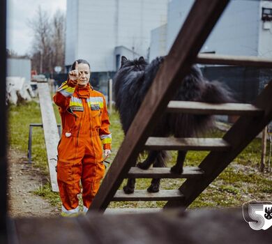 Szkolenie GPR K-9 u śląskich terytorialsów