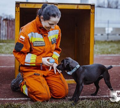 Szkolenie GPR K-9 u śląskich terytorialsów