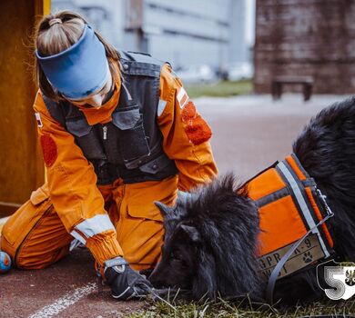 Szkolenie GPR K-9 u śląskich terytorialsów