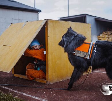 Szkolenie GPR K-9 u śląskich terytorialsów