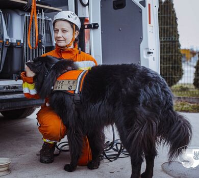 Szkolenie GPR K-9 u śląskich terytorialsów