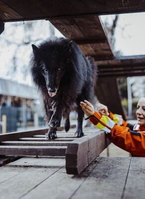 Szkolenie GPR K-9 w Nowym Sączu
