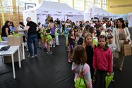 Bezpieczna Kraina w Iławie