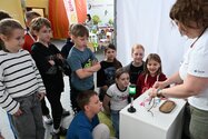 Bezpieczna Kraina w Iławie