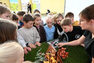 Bezpieczna Kraina w Iławie