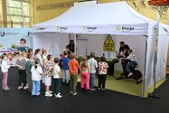 Bezpieczna Kraina w Iławie