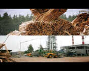 Grupa TAURON - biomasa w Elektrowni Stalowa Wola 