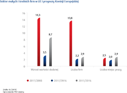 Sektor małych i średnich ﬁrm w UE i prognozy Komisji Europejskiej