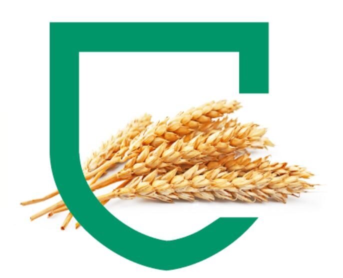 5-pytań-o-ubezpieczenie-upraw-na-wiosnę