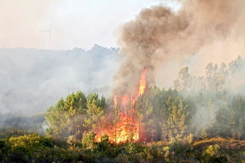 2407 Pożary-wysypisk-lasów-wypalanie-traw-–-jak-ochronić-zabudowania-przed-trawiącym-żywiołem