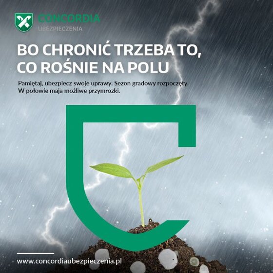 Co-trzeba-wiedzieć-o-ubezpieczeniu-upraw-żeby-dwa-razy-nie-stracić