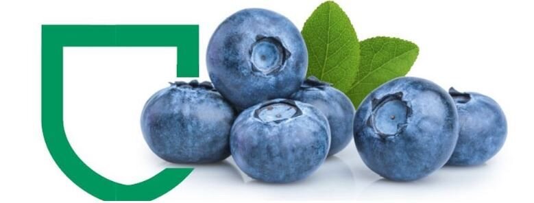 0603 VII-Międzynarodowa-Konferencja-Borówkowa