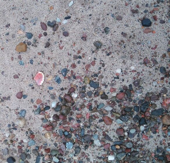 1405 Galeria-Jednego-Obrazu-w-Centrali-Concordii