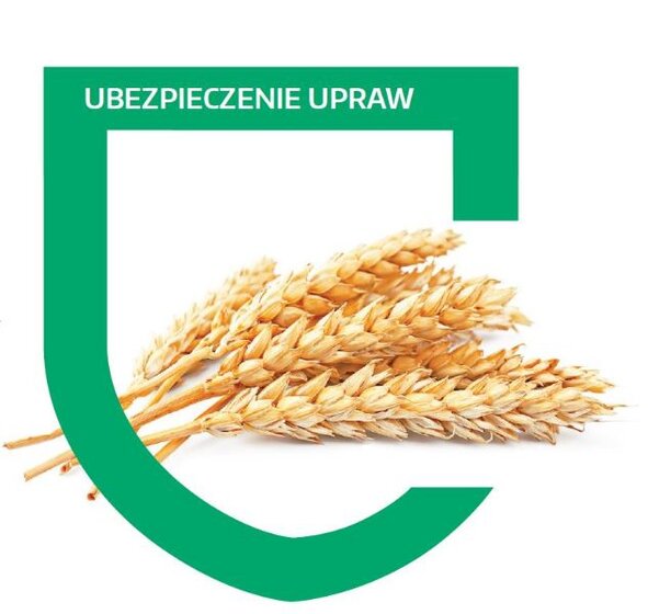 1902 Ubezpieczenia-suszy-w-Concordii