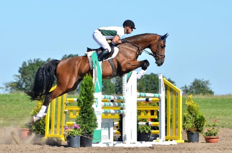 2405 Concordia-partnerem-Festiwalu-Jeździeckiego-Baborówko-2019