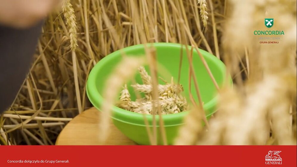 3008 SUSZA – LIKWIDACJA SZKODY FILM