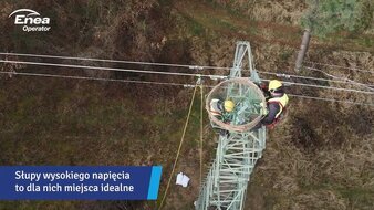 Enea Operator zaangażowała się w ochronę miejsc lęgowych, zagrożonego wyginięciem rybołowa. Spółka we współpracy z Lasami Państwowymi zamontowała 22 nowe platformy pod gniazda na wysokich słupach energetycznych w województwie lubuskim i na Pomorzu Zachodnim. Będą mogły z nich  skorzystać te niezwykle rzadkie ptaki.