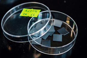 Z10_2744 kadr_900x600.jpg