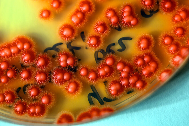 Fot. Dawid Linkowski / Politechnika Gdańska