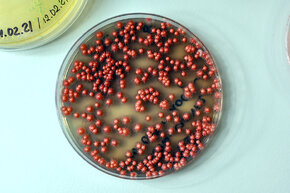 Z10_5672 900X600.jpg