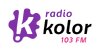 Logo poziom kolor