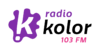 Logo poziom kolor