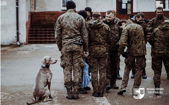 Szkolenie grupy poszukiwawczo-ratowniczej K9