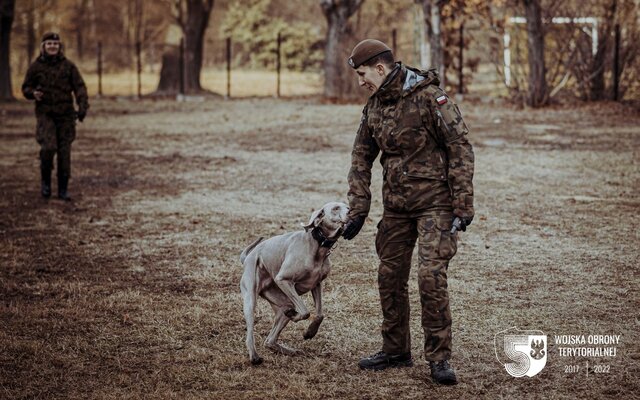 Szkolenie grupy poszukiwawczo-ratowniczej K9