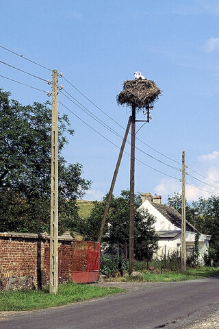 (foto P. Szymoński)