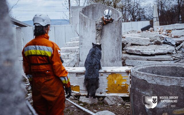 Szkolenie GPR K-9 u śląskich terytorialsów