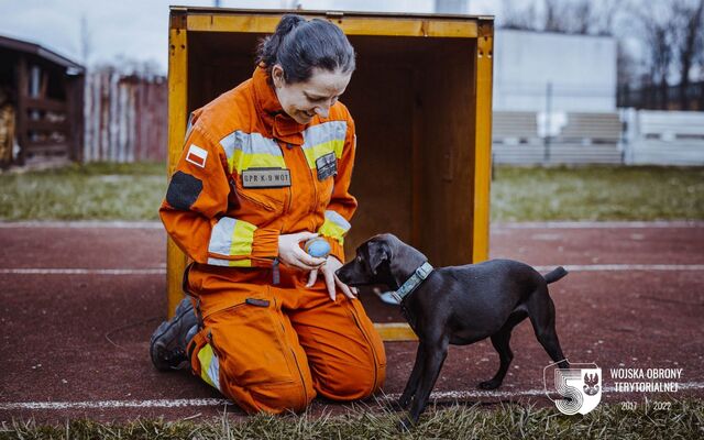 Szkolenie GPR K-9 u śląskich terytorialsów