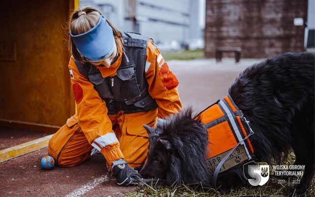 Szkolenie GPR K-9 u śląskich terytorialsów