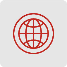 globe-icon-demo